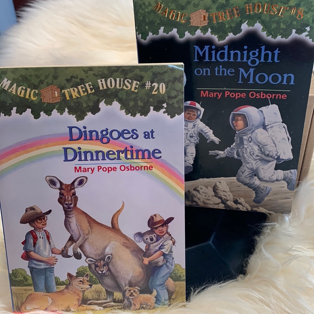 🔥4/$25🔥Magic treehouse set of two